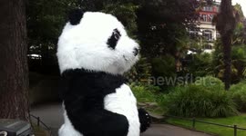 PANDA DIPLOMACY IN BOURNEMOUTH GARDENS