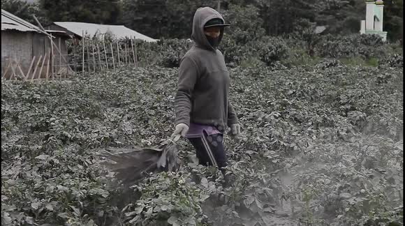 Indonesian villagers clear volcanic ash day after Mount Sinabung eruption
