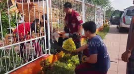 Thai monitor lizard rescued after getting stuck in railings while looking for food