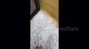 temp