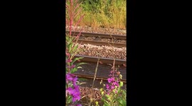 Flooding Lanarkshire after monsoon like weather