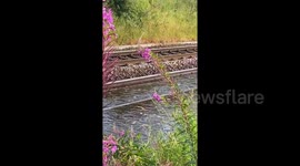 Flash flooding cancels nearly 200 train services in Scotland