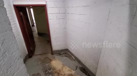 Newsflare Edit - Man shot at 234 sands st Vinegar hill Brooklyn NY