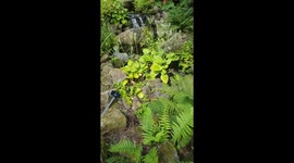 Mini waterfall in the garden