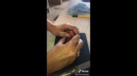 UK family shocked to find earwigs hiding inside nectarine bought from organic grocery