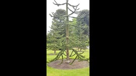 Botanic Garden Edinburgh