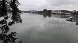 Dead fishes due to high heat waves and lack of oxygene. Lake of Enghien-les-Bains. Paris suburb. 15aug2020