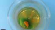 temp