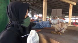 Mother and daughters provide food and treatment for stray cats at Indonesian market