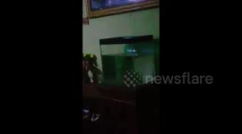 Indonesia: M6.8 And M6.9 Earthquakes Hit Bengkulu, Southwestern Sumatra 2