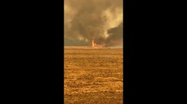 Fire tornado phenomenon circulates blaze across Northern California's Pleasant Valley