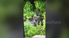 Teenage angler shocked after spotting raccoon scoffing his bait