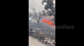 US: SCU Lightning Complex Fire Burns Over 100,000 Acres In California 2