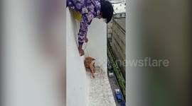 Animal welfare volunteers rescue dog stranded for days on fifth floor balcony