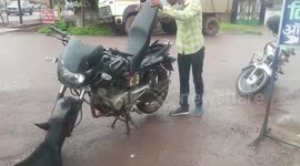 Snake rescued from motorcycle in central India