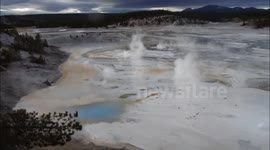 A few of Yellowstone's geysers