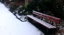 Inch of snow in London