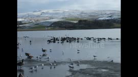 Hollingworth Lake Frozen