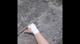 Nutcracker pitch 3 climbing fall (Yosemite)