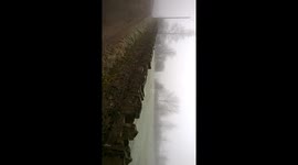 Cycling down lane in freezing fog