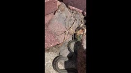 Don’t bite off more than you can chew!