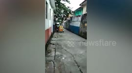 Father Hires 'Spider Man' To Deliver Son's Birthday Cake