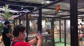 Shoppers interact with animals at exotic pet show in Bangkok