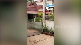 Dog Climbs Back Over Gate After Sneaking Out