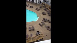 Crazy east coast winds have trash bags flying and cans rolling!