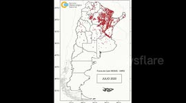 Environmental disaster in Argentina: Forest fires devastate thousands of hectares