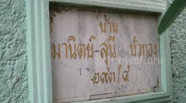 Stray cat rescued after getting stuck on metal spike fence in Thailand