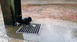 Heavy rain hits Bradford as Storm Francis hits UK