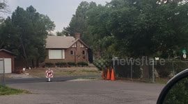 A couple walking their dog and wait. Their cat too?