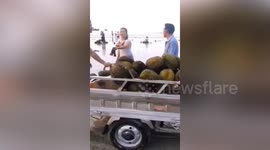 Chinese villagers poisoned after eating durian fruit they collect from sea