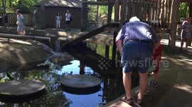 Grandad tries to help grandkids across water but ends up falling in himself
