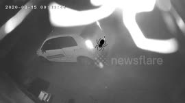 Security Cam Spider