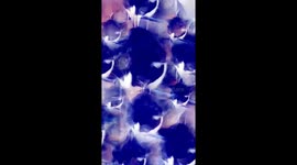 Extraterrestrial Cat