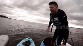 Paddle board games fail