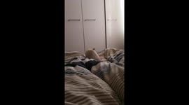 Kitten learns about the dimension of a bed the hard way