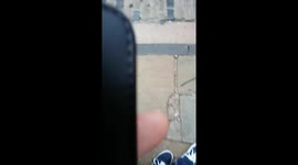 Shambles in York August Bank holodsy