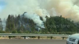 Plumes of smoke emerge from Sweet Creek fire outside Oregon