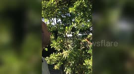 This incredible slow motion footage shows a man feeding his best friend - a red robin