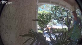 Lady Missed The Step And Fell While Looking For Her Dog  Perfectly Captured By Ring Camera