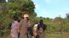 Plants and animals in the forest of Binor Probolinggo, East Java, Indonesia, were looted by unknown people