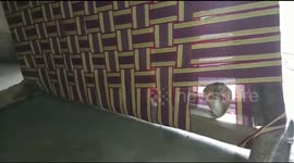 Cobra found under bed of sleeping man in eastern India