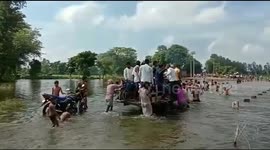 People cross river by bullock cart in India