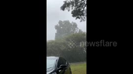 Destructive Hurricane Laura in Louisiana