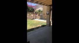 Kid Fails To Catch The Ball Funny Blooper