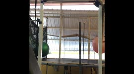 Bored Kid Trying Bounce Off Of The Fitness Balls, Didnt Go As Per The Plan