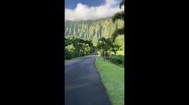 Mesmerizing Hawaii Drive